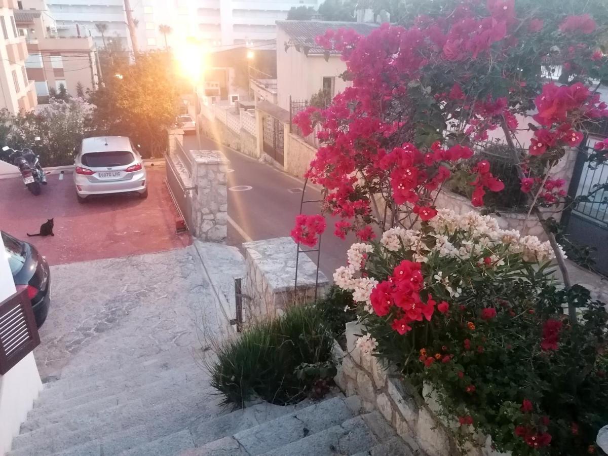 Apartment Oleander *