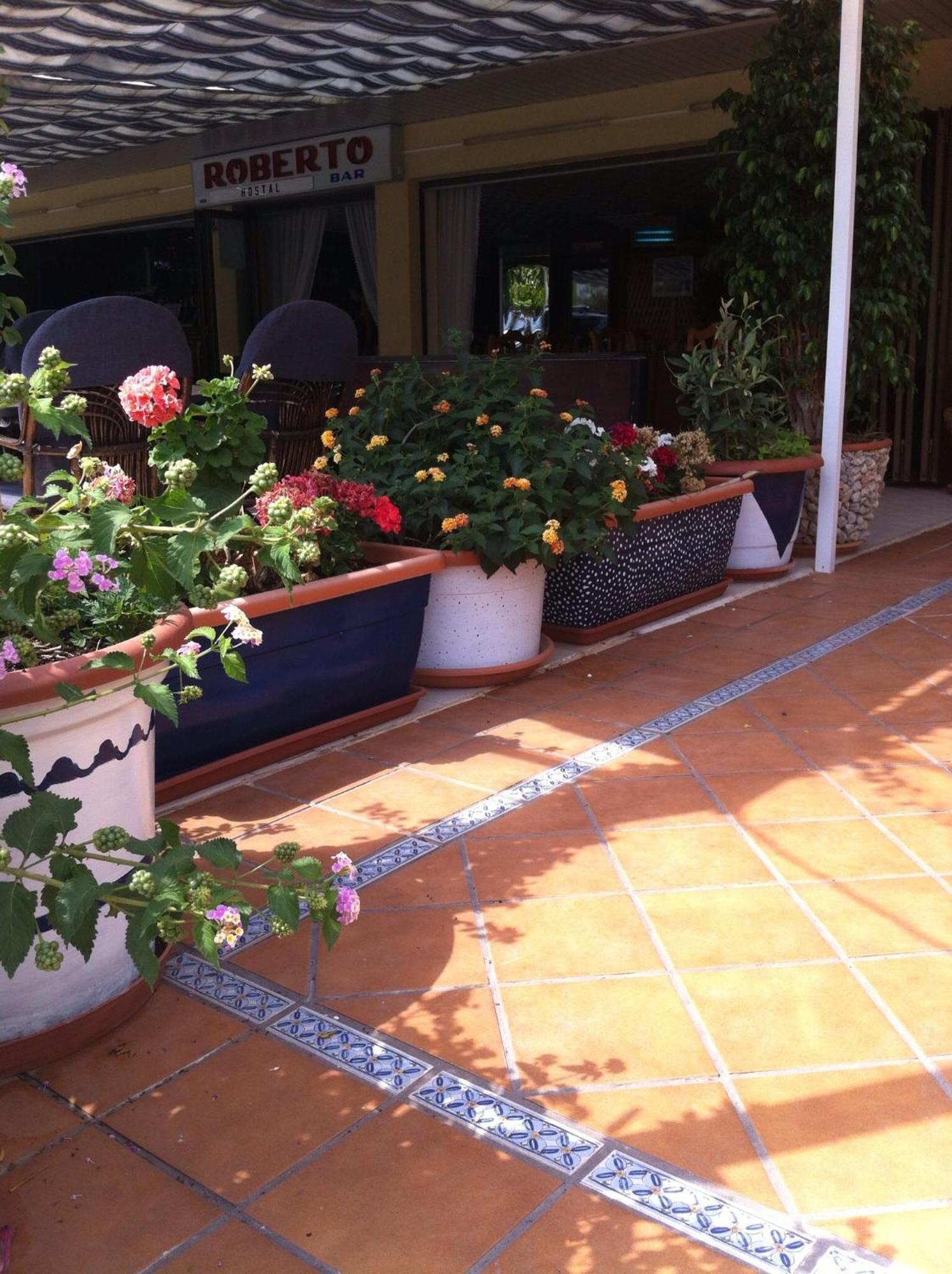Guest house Roberto Palma Nova (Mallorca)