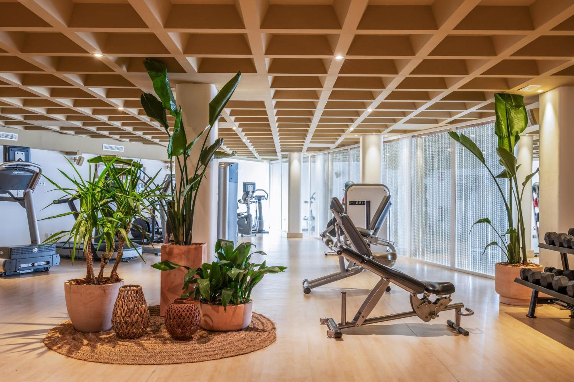 Hotel Zel Mallorca (adults Only) Palma Nova (Mallorca)