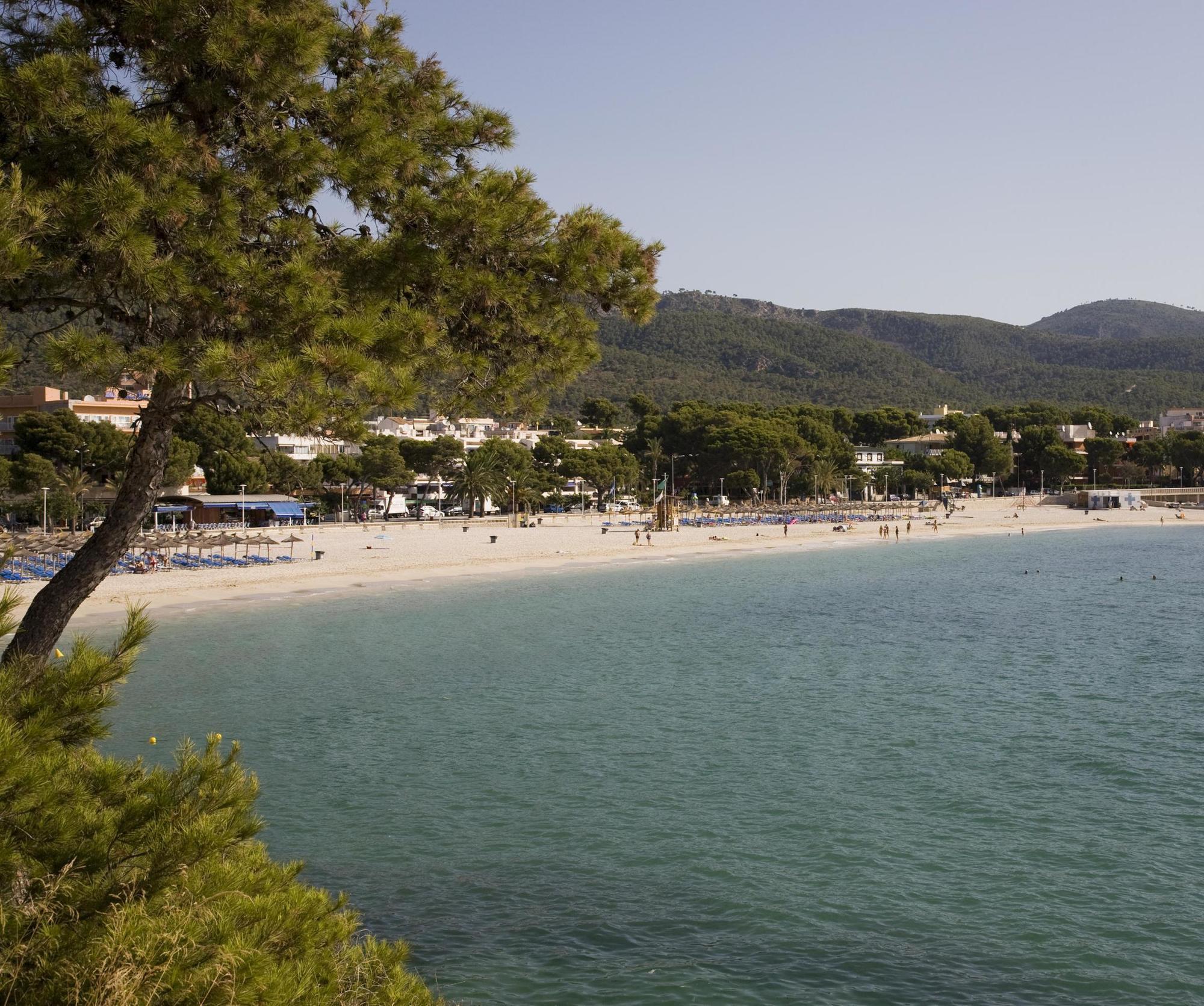 Hotel Fergus Bermudas Palmanova