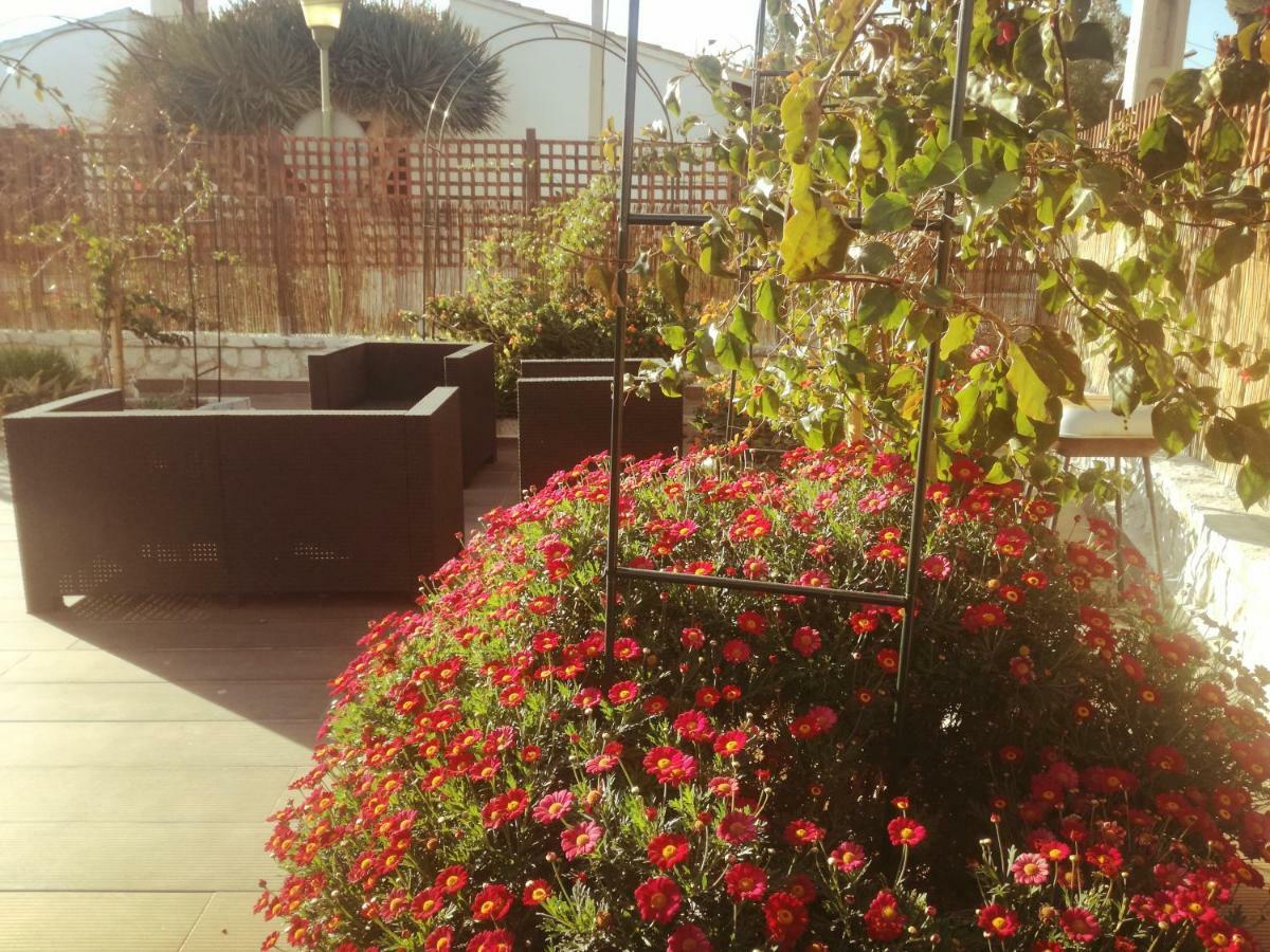 Apartment Oleander *