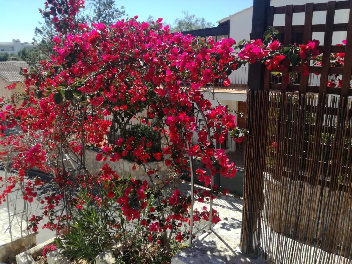 Oleander * Palma Nova (Mallorca)