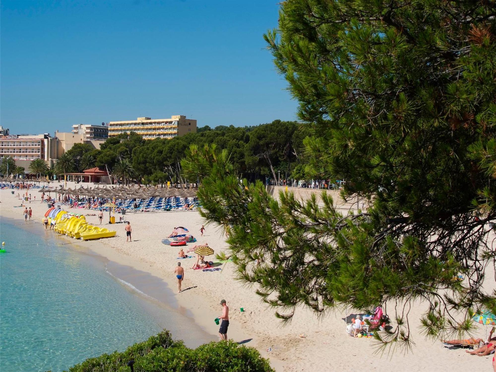 Palomas Econotels Palma Nova (Mallorca)