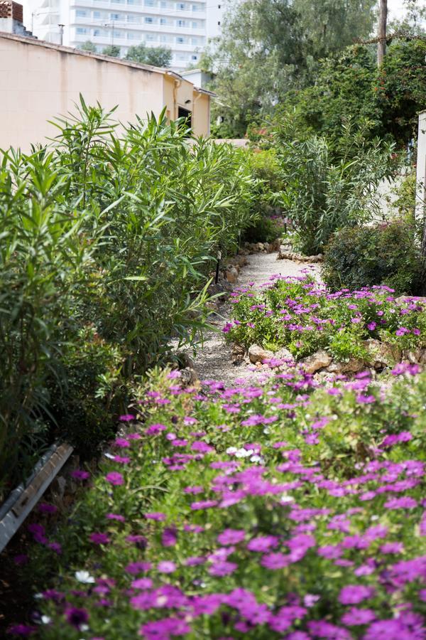 Apartamento Oleander *