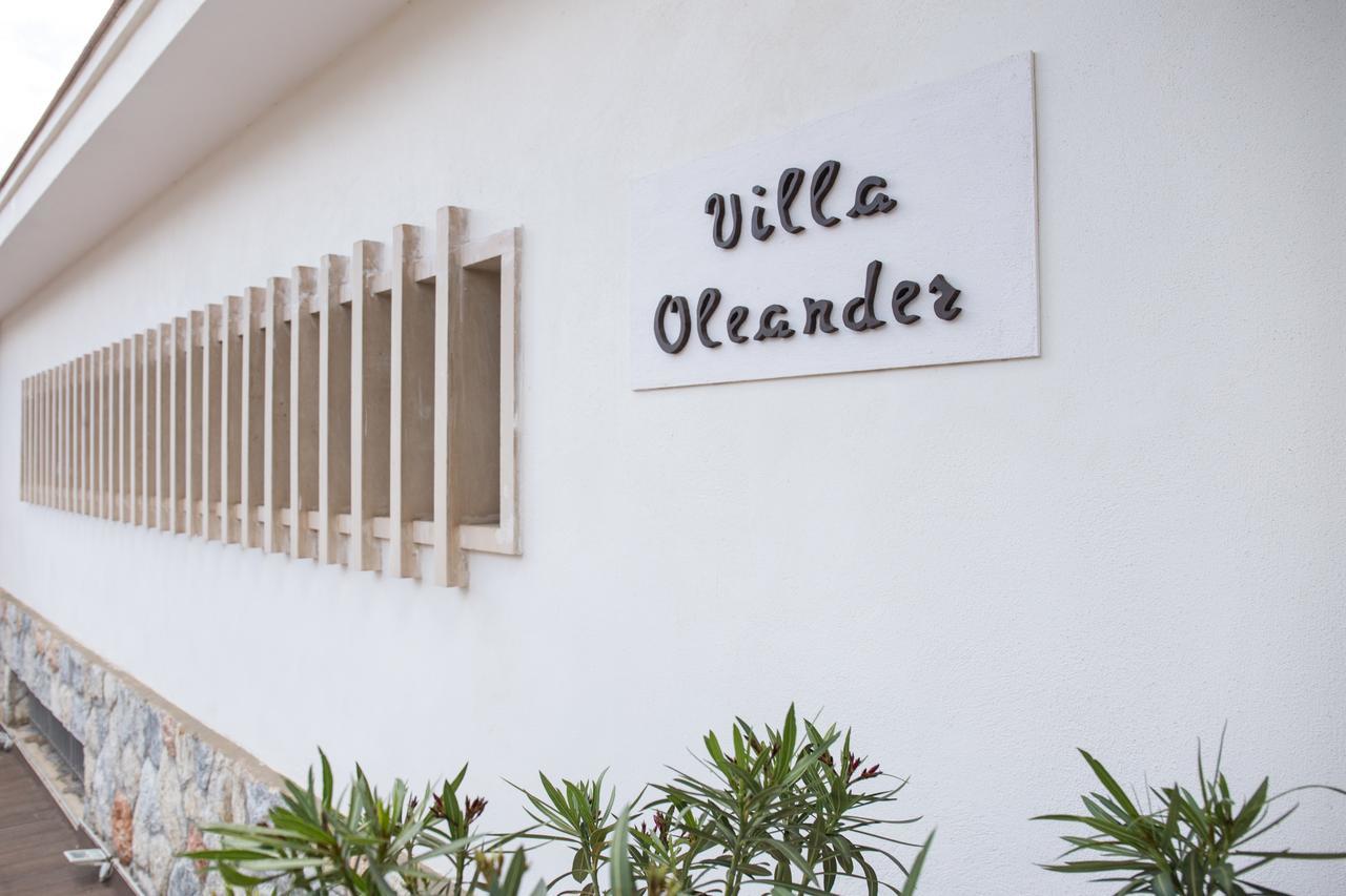 Oleander *