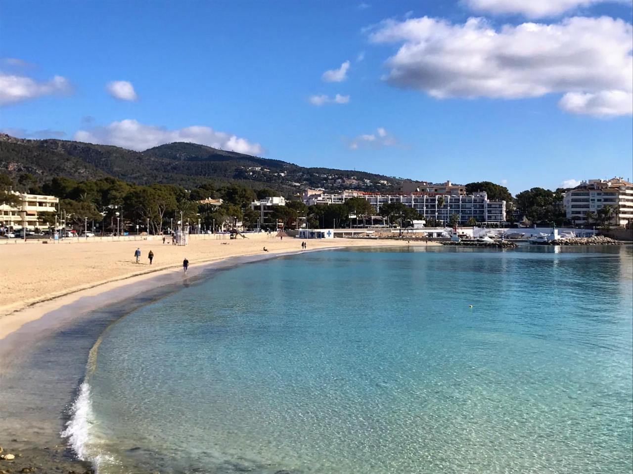 Palmeras Apartamento Palmanova