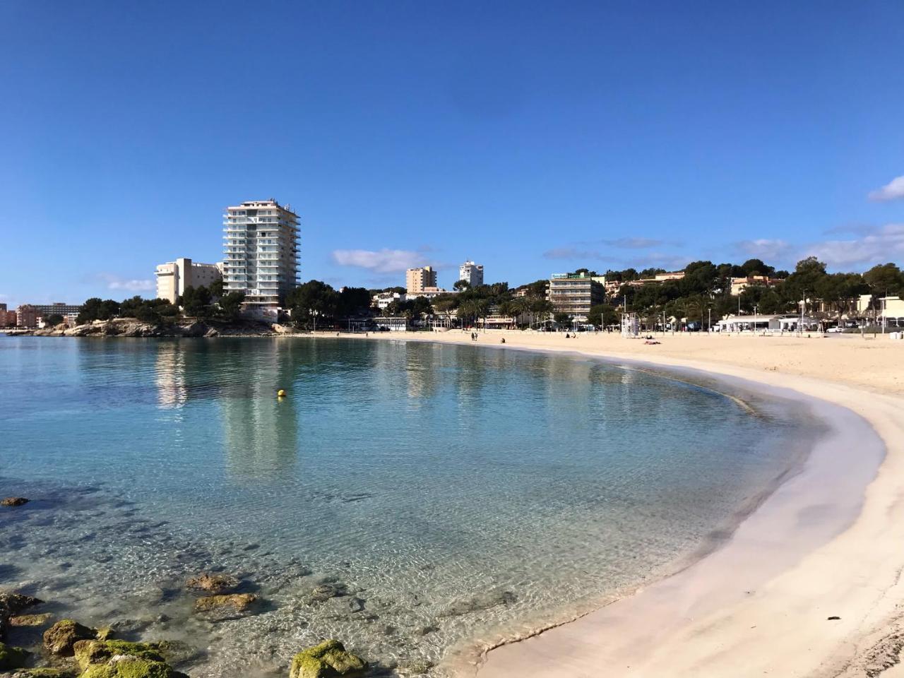 Palmeras *