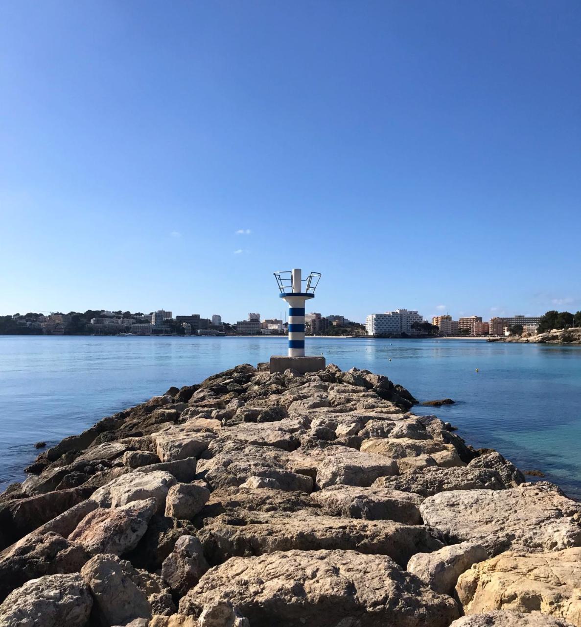 Palmeras * Palmanova